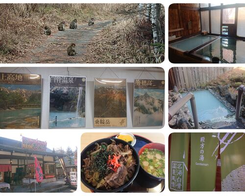 20-11-16-16-34-26-186_deco